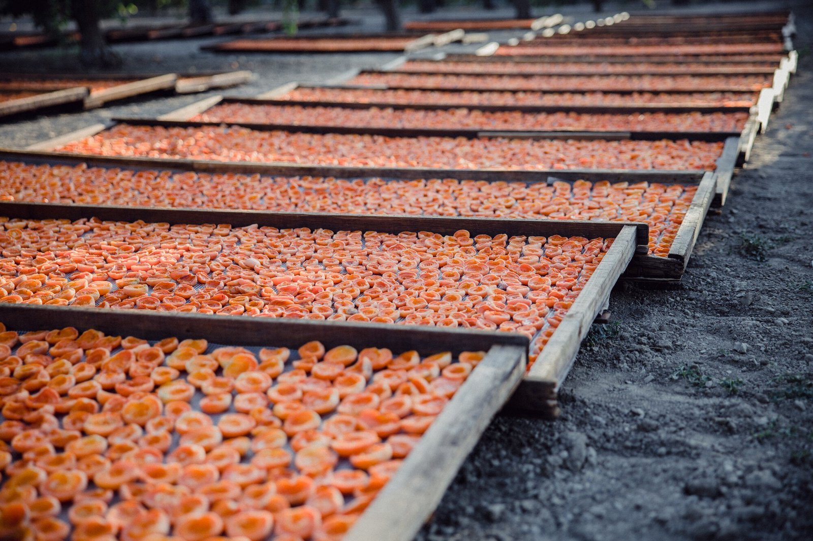 Wastewater Treatment